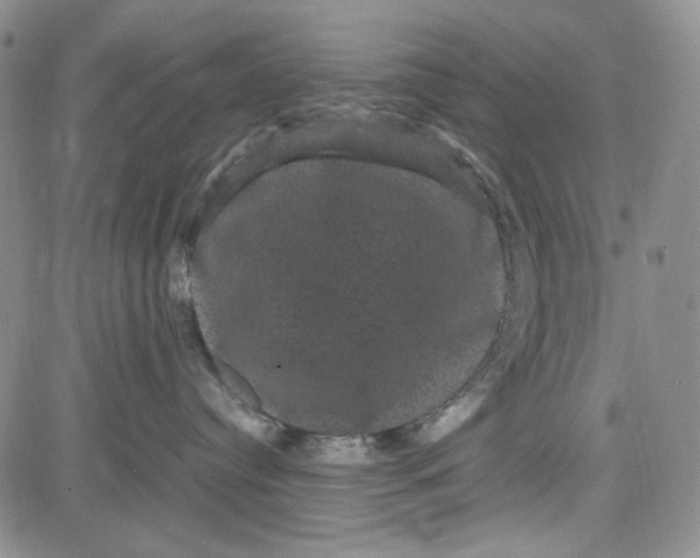 X0000080810384200701051156