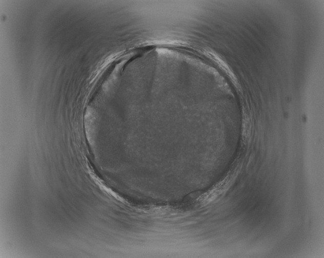 X0000080810385200701051155