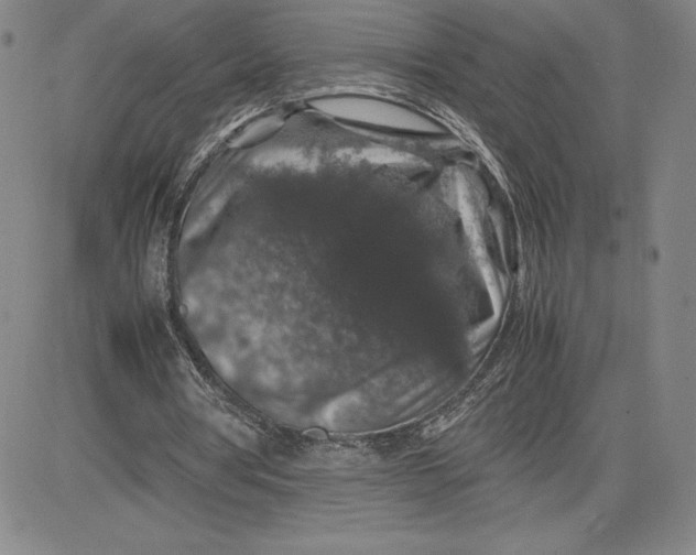 X0000080810386200701051155