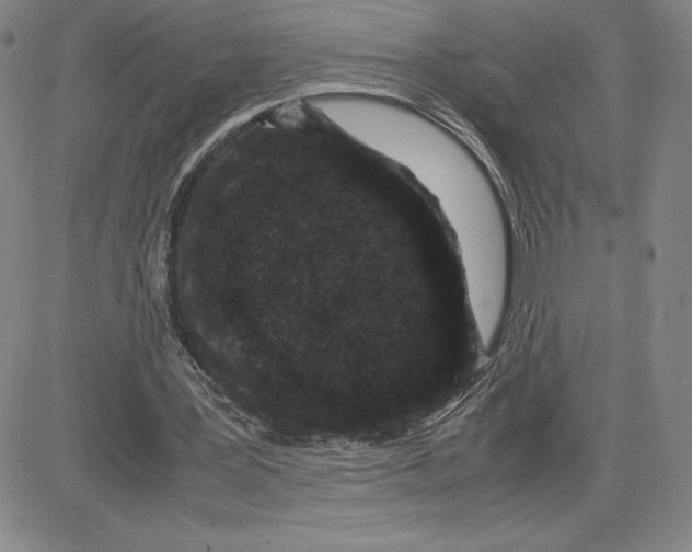 X0000080810387200701051155