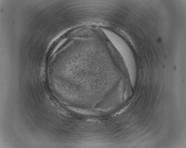 X0000080810388200701051155