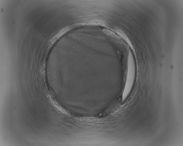 X0000080810389200701051155