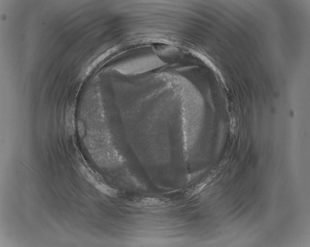 X0000080810390200701051155