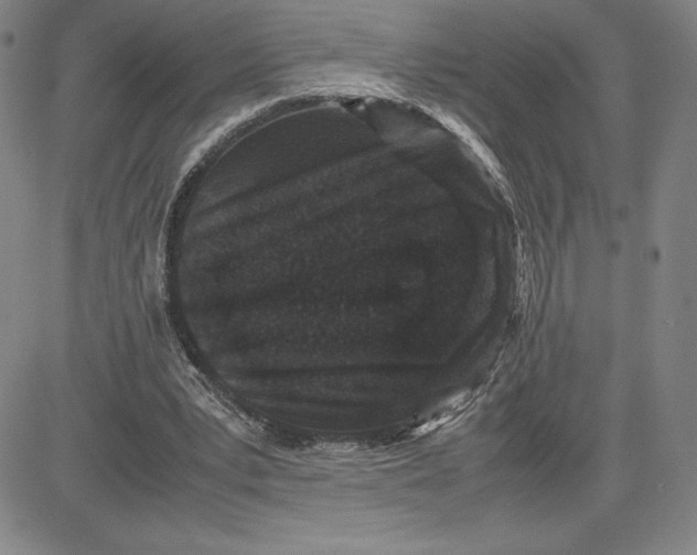 X0000080810391200701051155