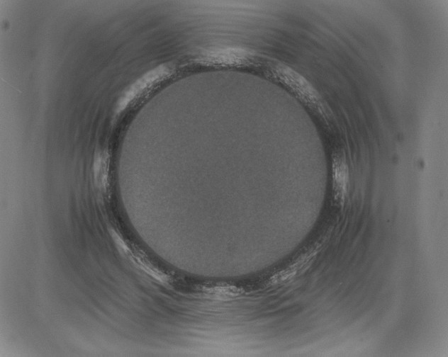 X0000080810396200701051155