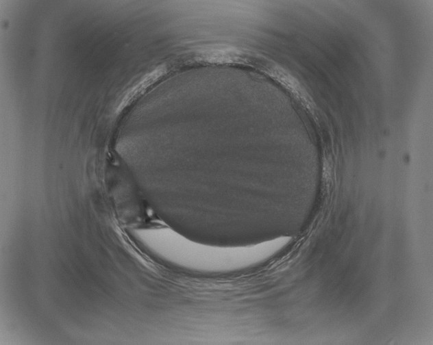 X0000080810397200701051155