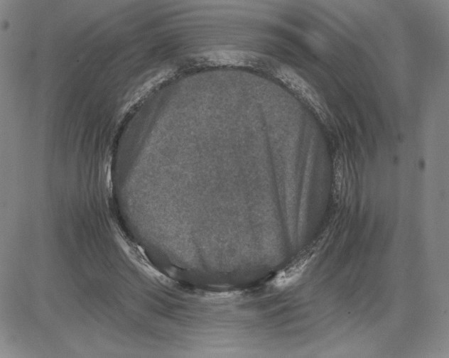 X0000080810398200701051155