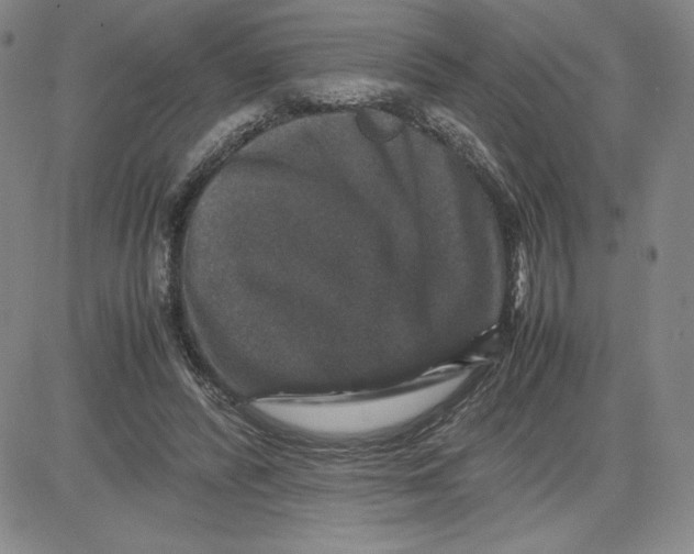 X0000080810400200701051155