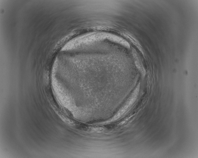 X0000080810401200701051155