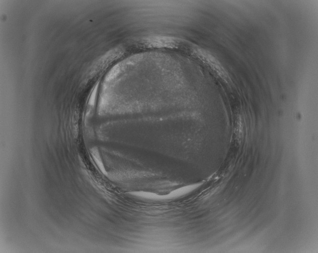 X0000080810402200701051155