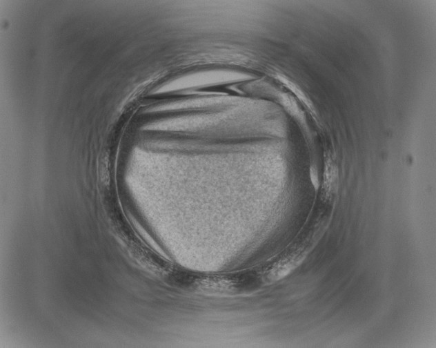 X0000080810403200701051155