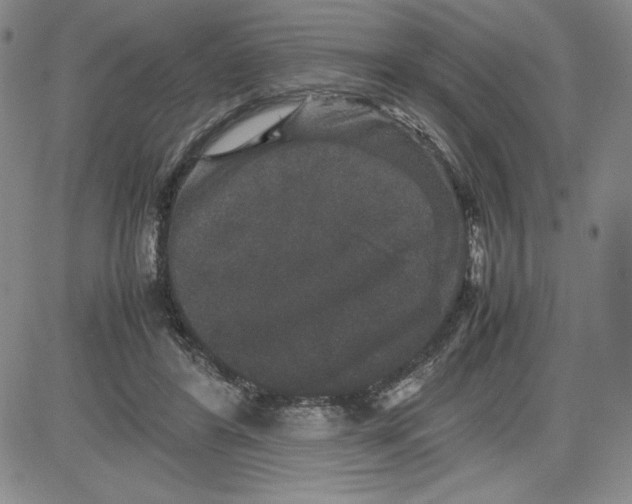 X0000080810404200701051155