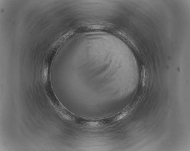 X0000080810406200701051155