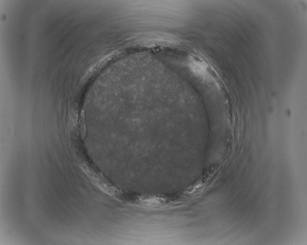 X0000080810407200701051155