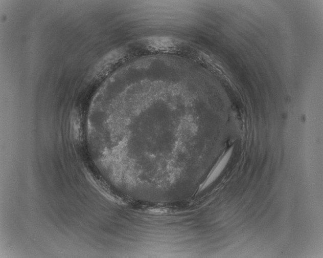 X0000080810408200701051155