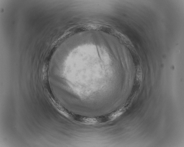 X0000080810409200701051155