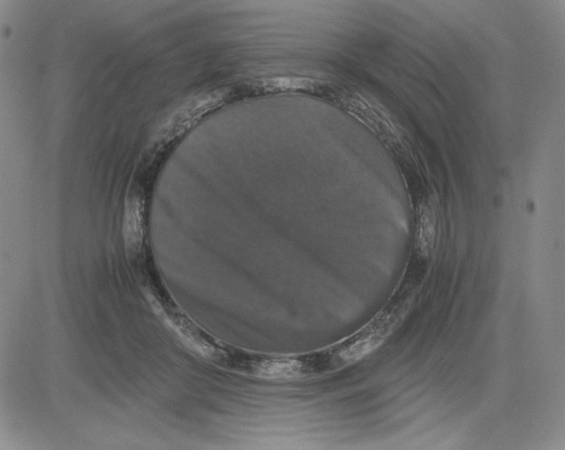 X0000080810410200701051155