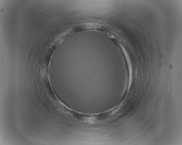 X0000080810411200701051155