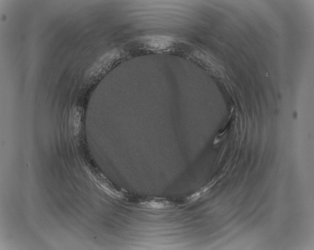 X0000080810412200701051155