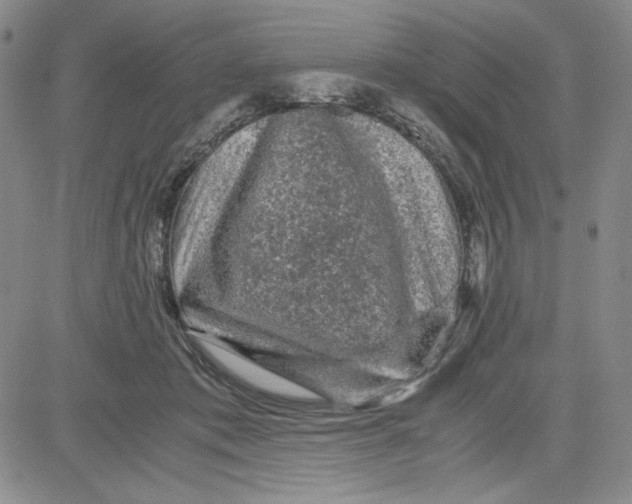 X0000080810413200701051155