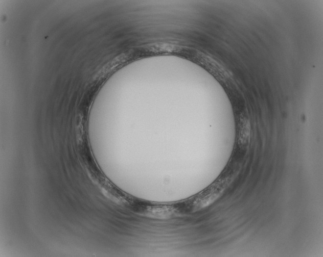 X0000080810414200701051155