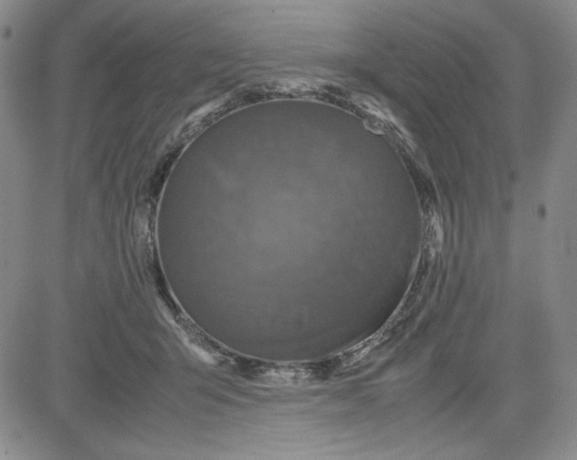 X0000080810415200701051155