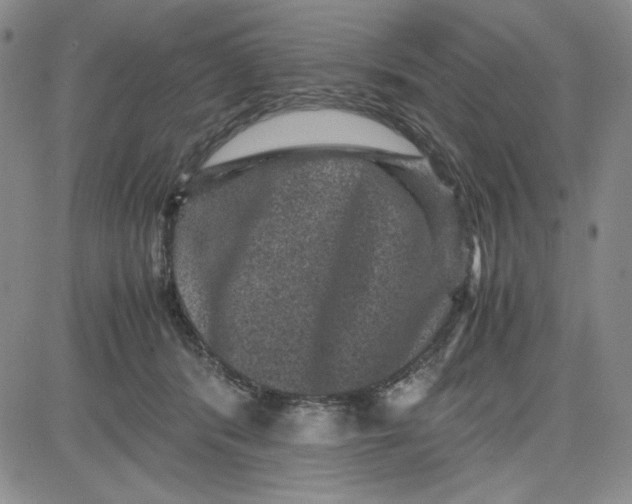 X0000080810416200701051155