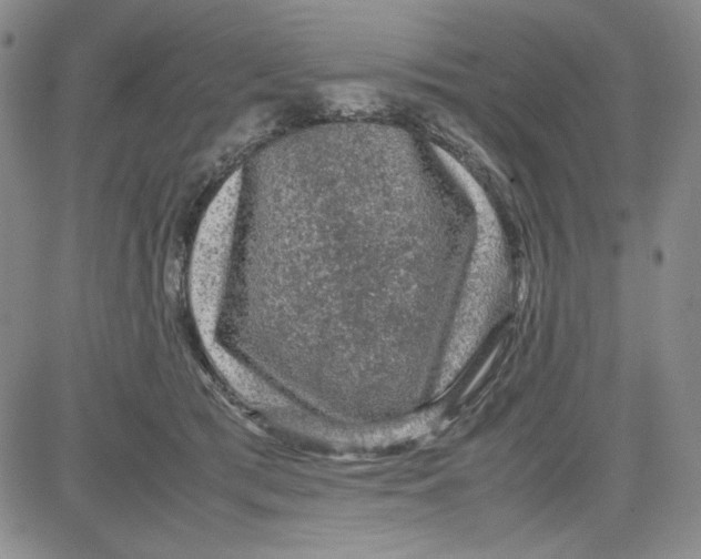 X0000080810417200701051155