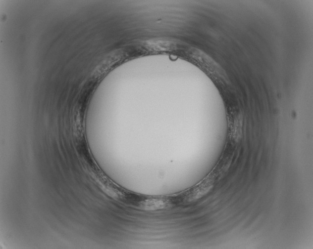 X0000080810418200701051155