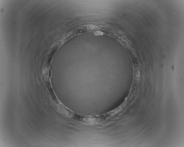 X0000080810419200701051155