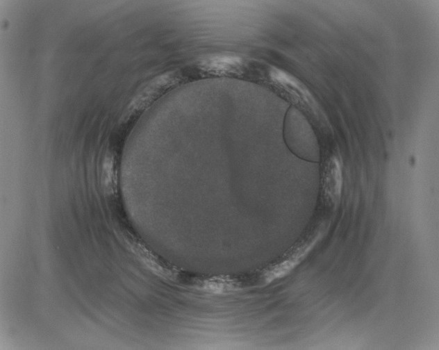 X0000080810420200701051155