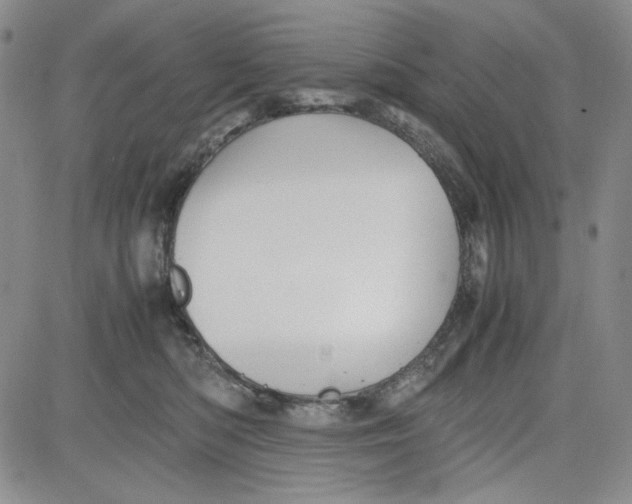 X0000080810422200701051155