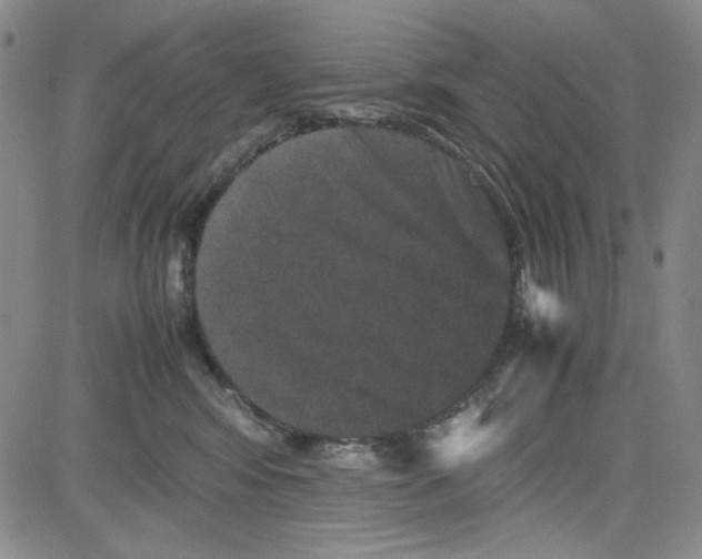 X0000080810424200701051155