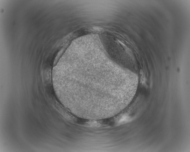 X0000080810425200701051155