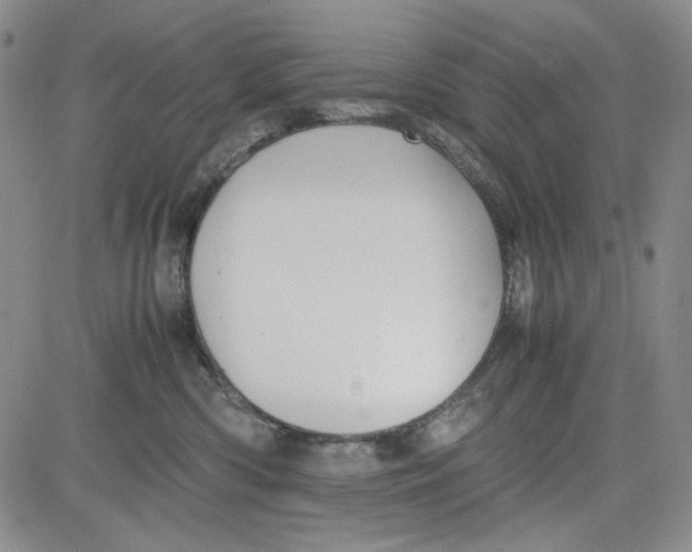 X0000080810426200701051155