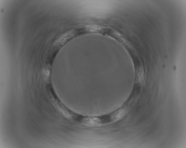 X0000080810427200701051155