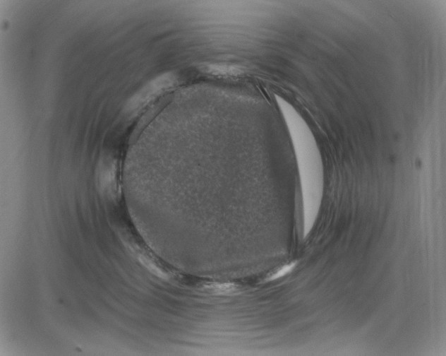 X0000080810428200701051155