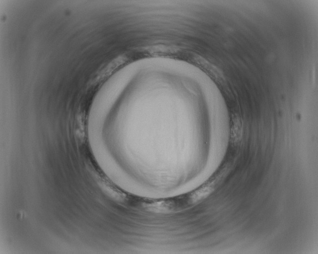 X0000080810430200701051155