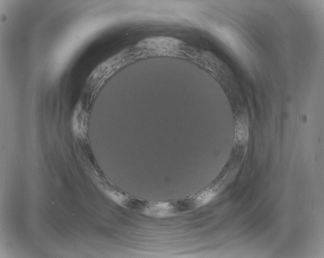 X0000080810431200701051155