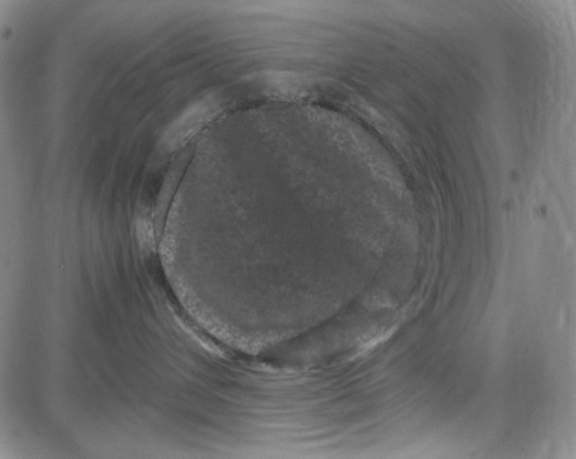 X0000080810432200701051155