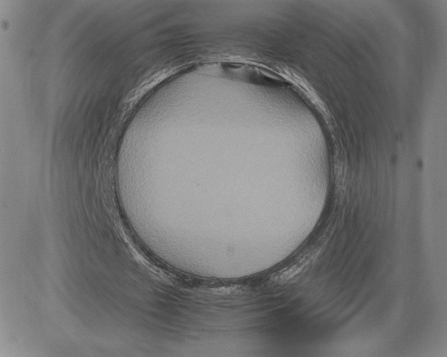 X0000080810433200701051154