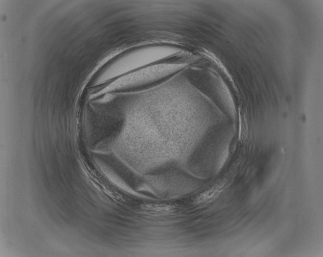 X0000080810435200701051154