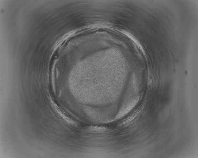 X0000080810437200701051154