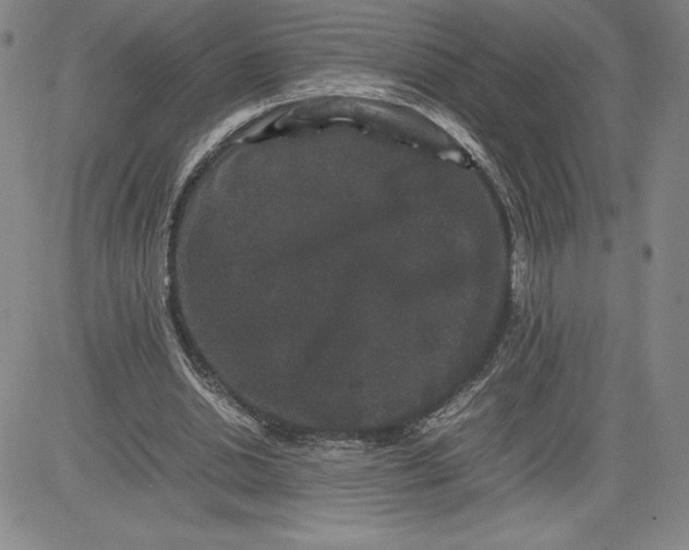 X0000080810438200701051154