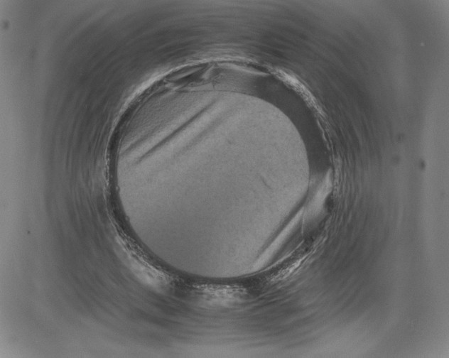 X0000080810439200701051154