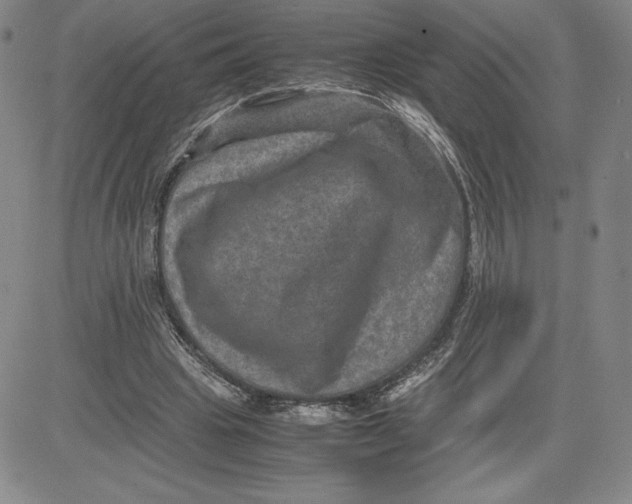 X0000080810441200701051154