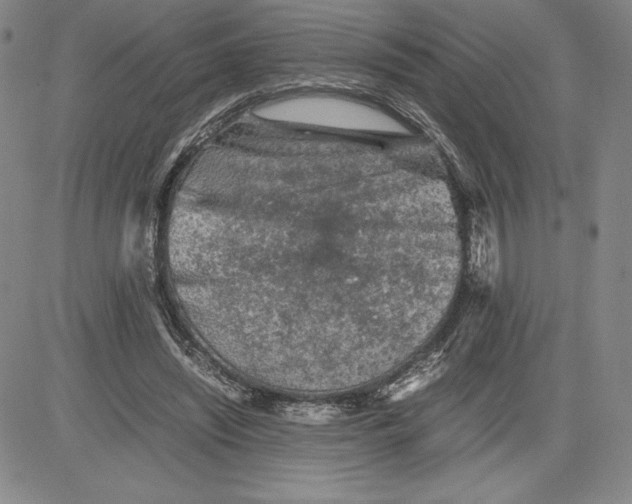 X0000080810444200701051154