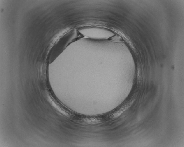 X0000080810445200701051154