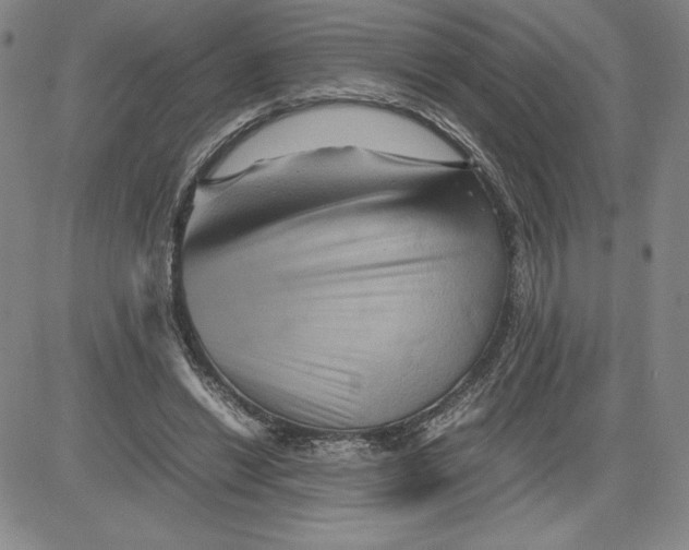 X0000080810446200701051154