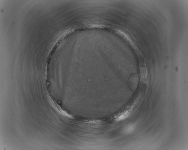 X0000080810447200701051154